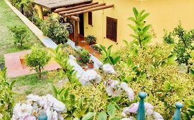 Il Veliero Blu Lipari Centro - Guest House